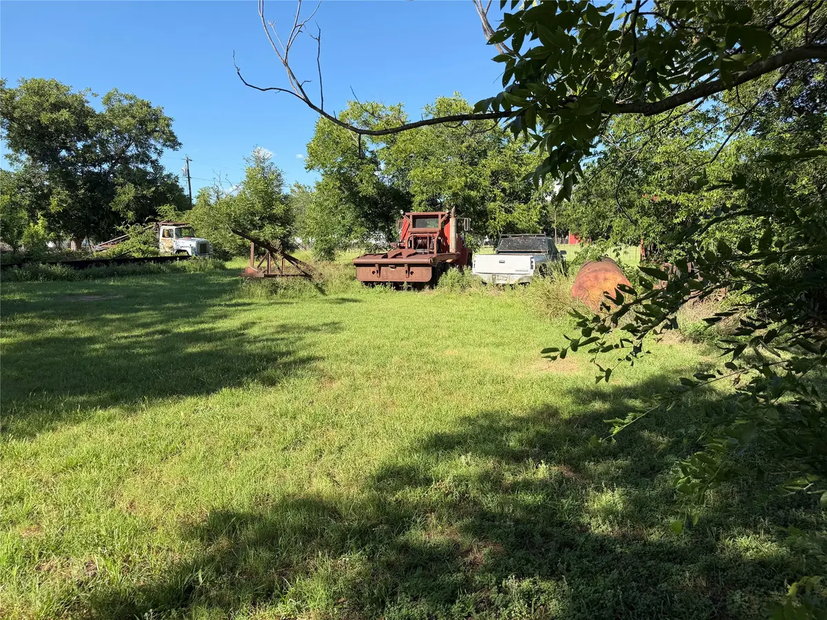 TBD W Mills, Rising Star, TX 76471 - #1