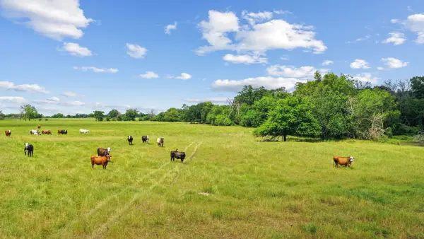 1080 Grand Oaks Ranch Road, Greenville, TX 75401