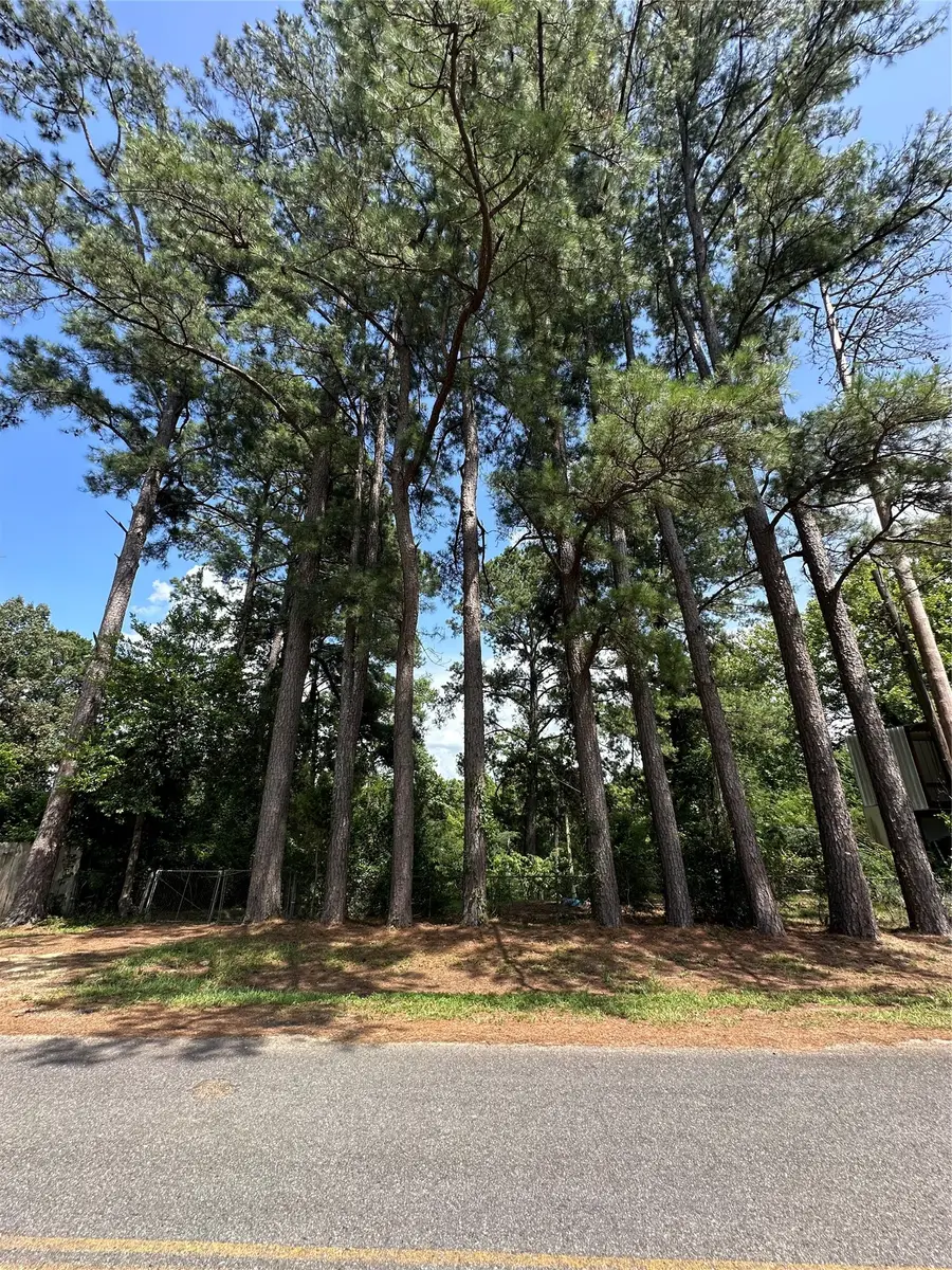 0 Horseshoe Loop, Doyline, LA 71023 - #2