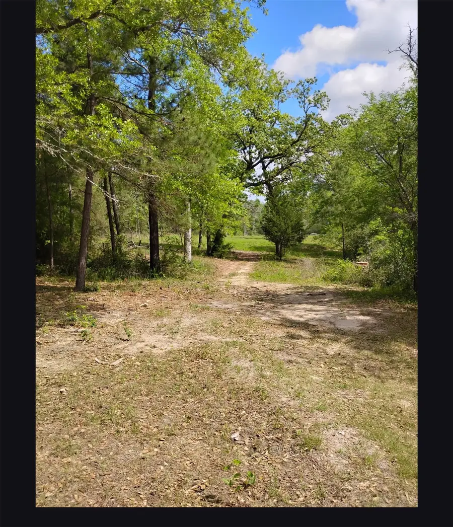 TBD State Hwy 19, Huntsville, TX 77320 - #3