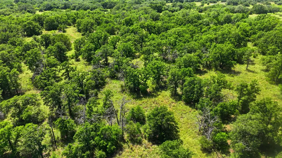 TBD County Rd 581, Cisco, TX 76437 - #3