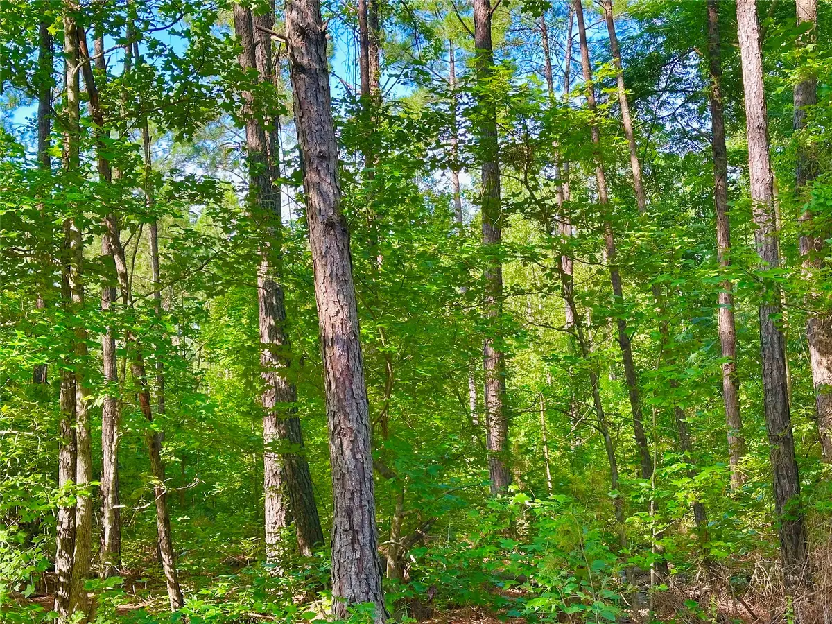 00 Hwy 808, Haynesville, LA 71038 - #1