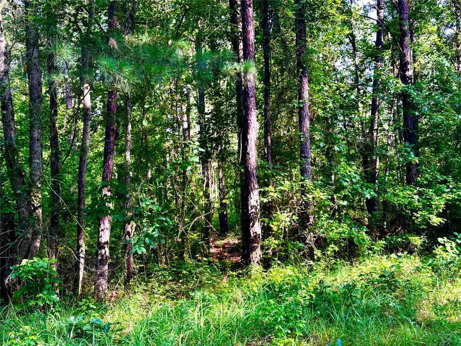 00 Hwy 808, Haynesville, LA 71038 - #3