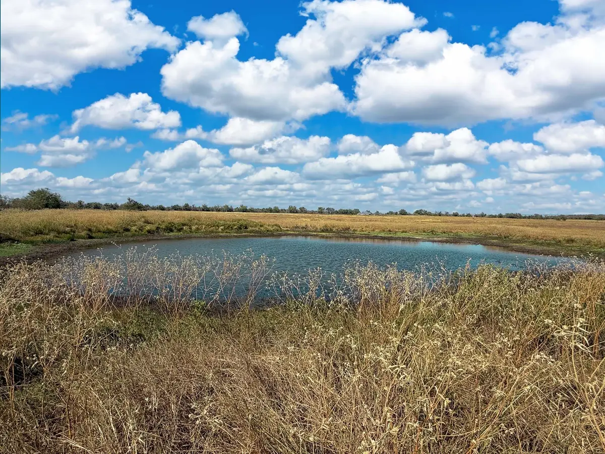 TBD Fm 2745, Kosse, TX 76653 - #1