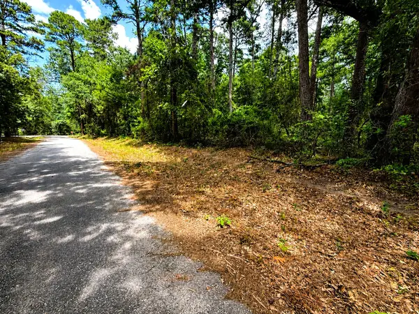 TBD Lot 4 County Road 4557, Winnsboro, TX 75494