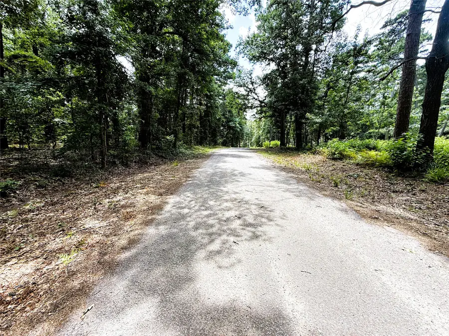 TBD Lot 4 County Road 4557, Winnsboro, TX 75494 - #3
