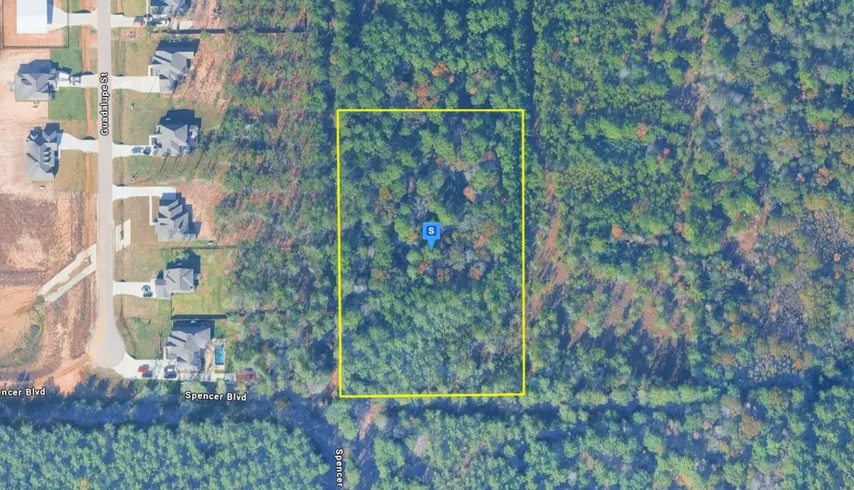 9720 Guadalupe Street, Southeast Montgomery, TX 77303 - #1