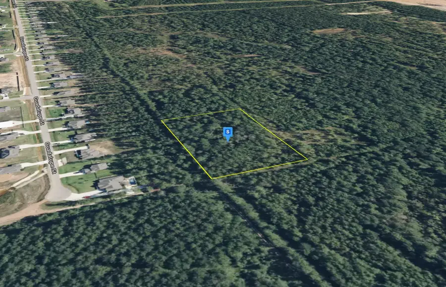 9720 Guadalupe Street, Southeast Montgomery, TX 77303 - #2