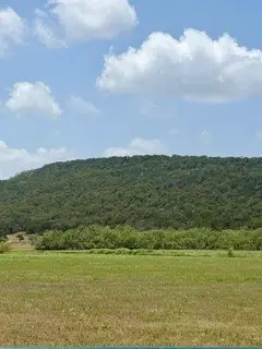 185 Beddo Bluff Court, Santo, TX 76472
