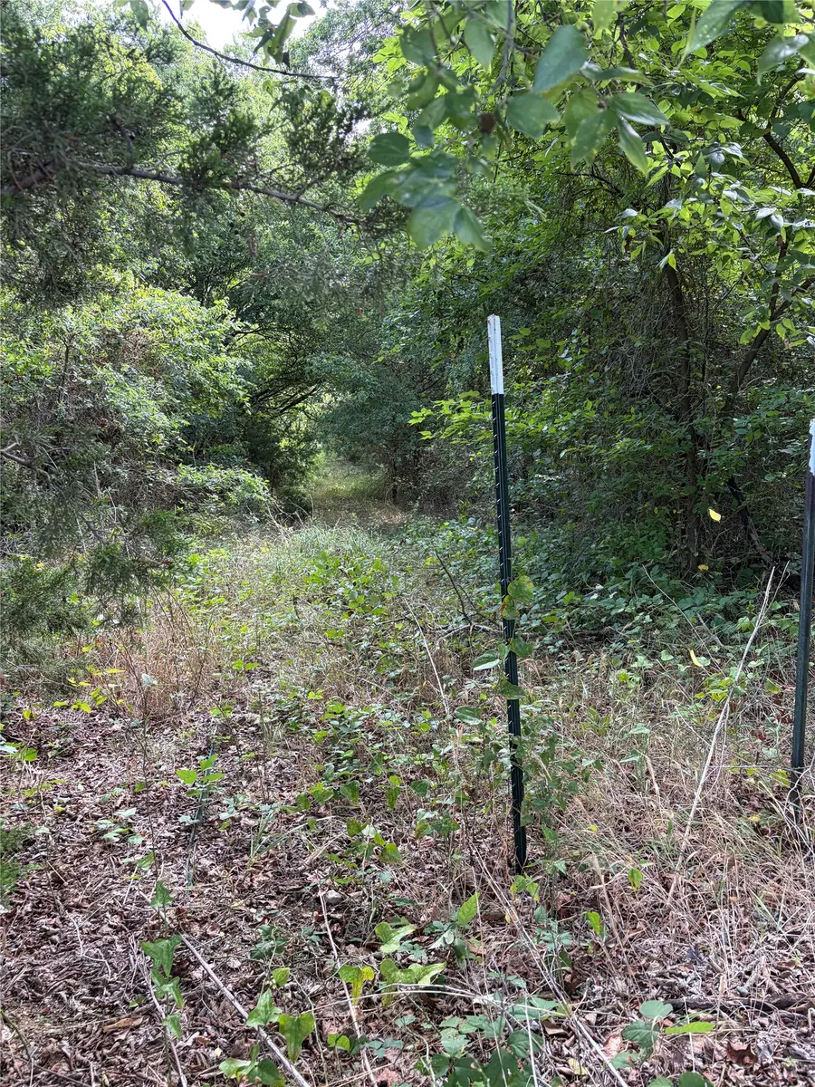 11601 County Road 103, Grandview, TX 76050 - #2