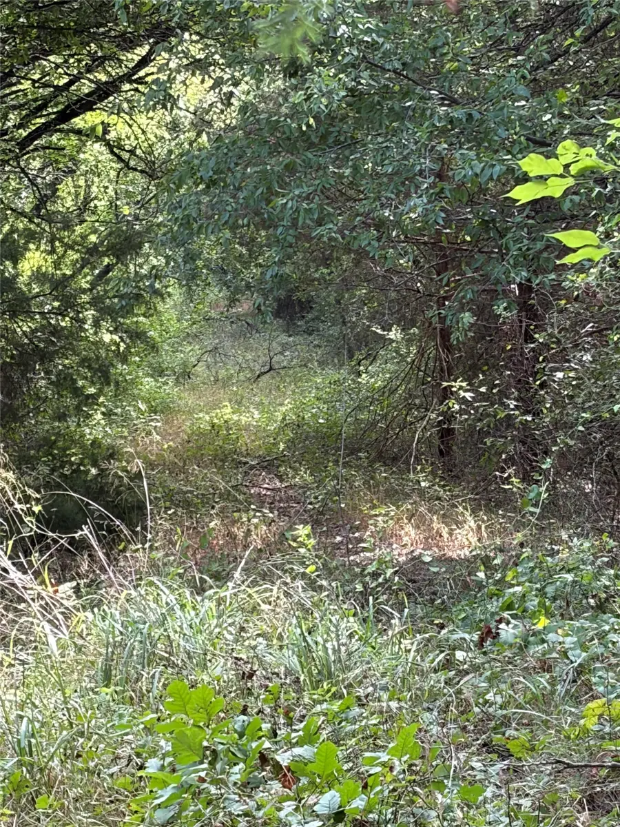 11601 County Road 103, Grandview, TX 76050 - #3