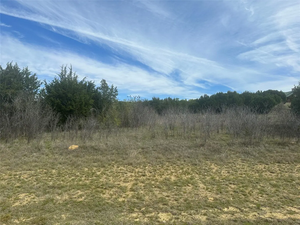 1241 Balcones Lane, Graford, TX 76449 - #1