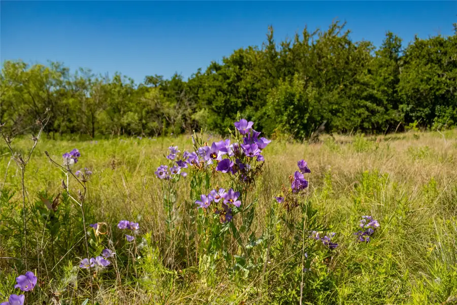 TBD Nash Road, Jacksboro, TX 76458 - #3