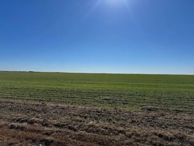 Elmdale & Mesquite, Abilene, TX 79601 - #2