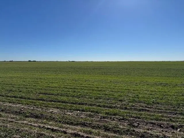 Elmdale & Mesquite, Abilene, TX 79601 - #3