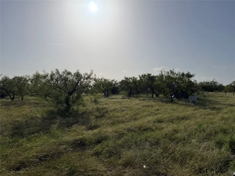 TBD Comanche Hills Dr, Comanche, TX 76442 - #2