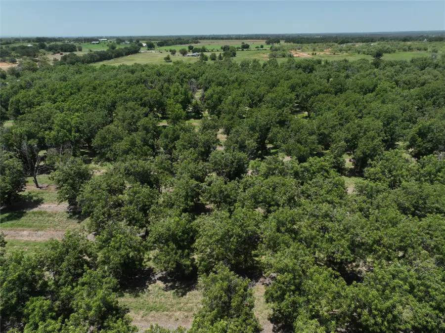 TBD Cr 426, Comanche, TX 76442 - #2