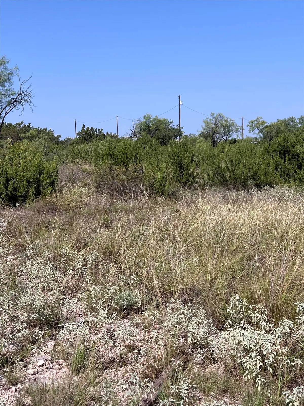21008 Frank Road, Paint Rock, TX 76866 - #1