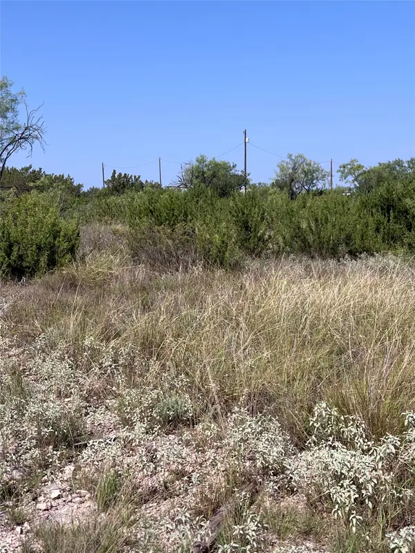21008 Frank Road, Paint Rock, TX 76866