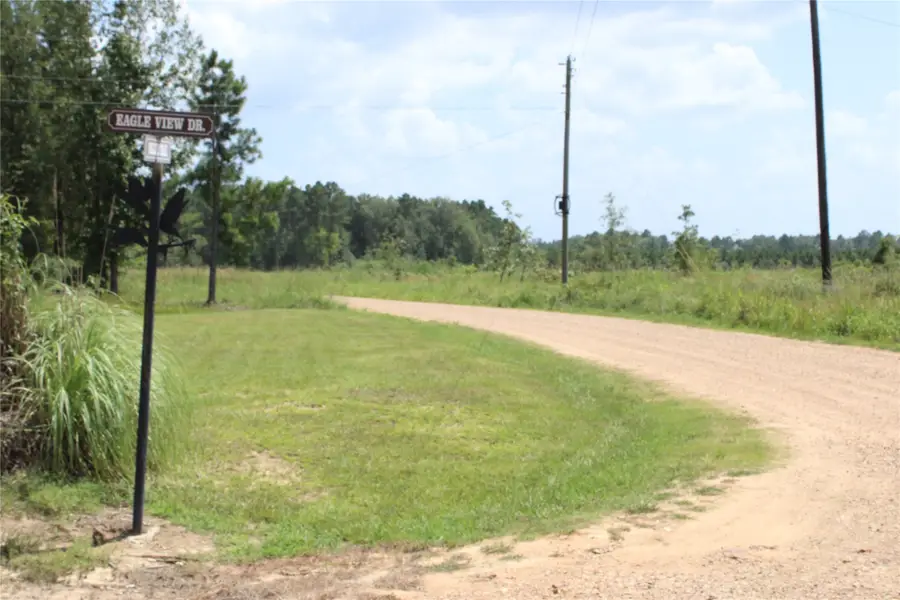 0 Collier Trail, Lewisville, AR 71845 - #2