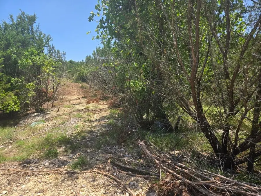 TBD Lighthouse Drive, Bluff Dale, TX 76433 - #3