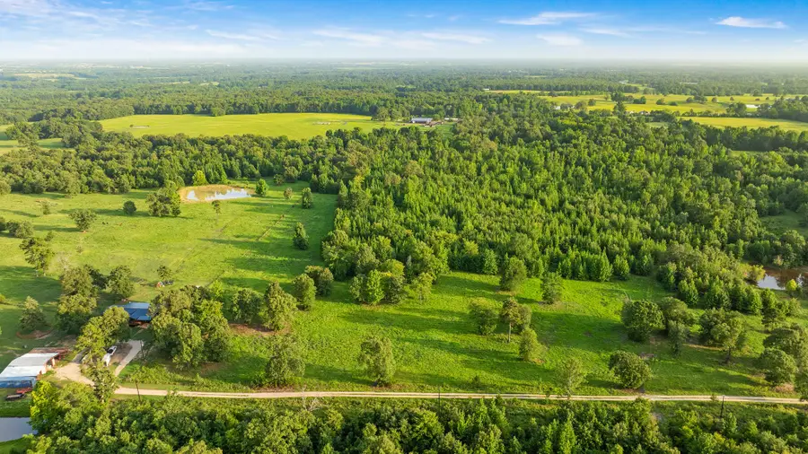 TRACT A County Road 43200, Powderly, TX 75473 - #3