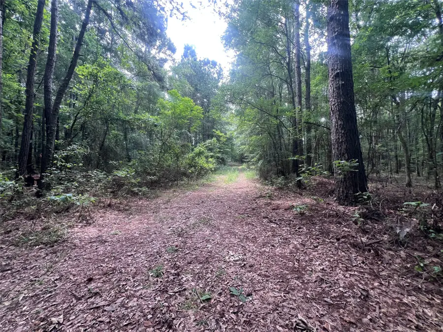 3245 Old Plain Dealing Road, Plain Dealing, LA 71064 - #2