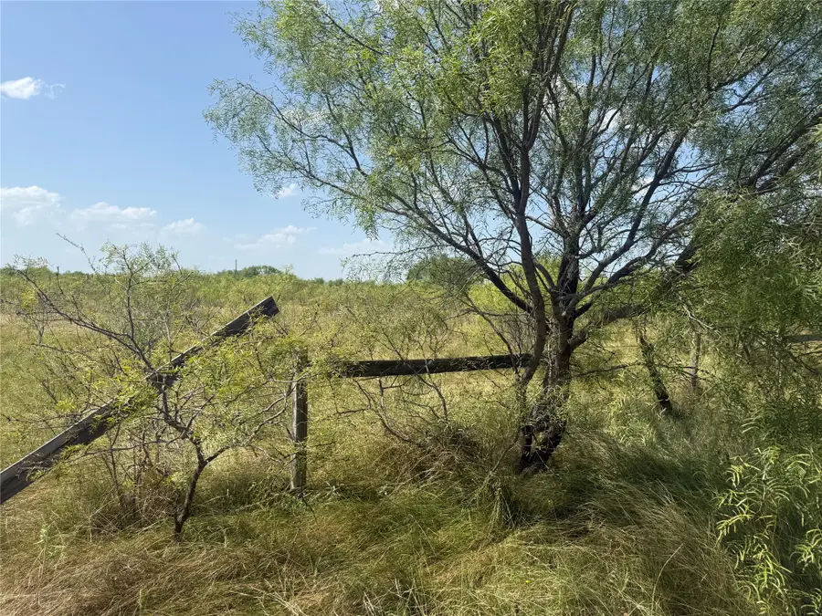 140 Arapaho Road, Brownwood, TX 76801 - #2