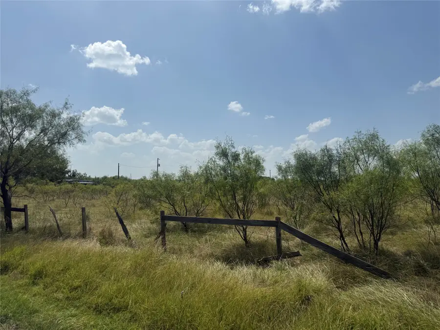140 Arapaho Road, Brownwood, TX 76801 - #3