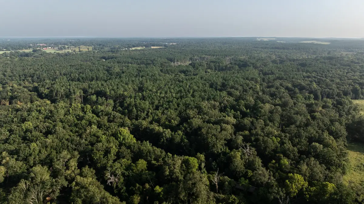 TBD Cr 461, Laneville, TX 75667 - #1