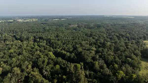 TBD Cr 461, Laneville, TX 75667