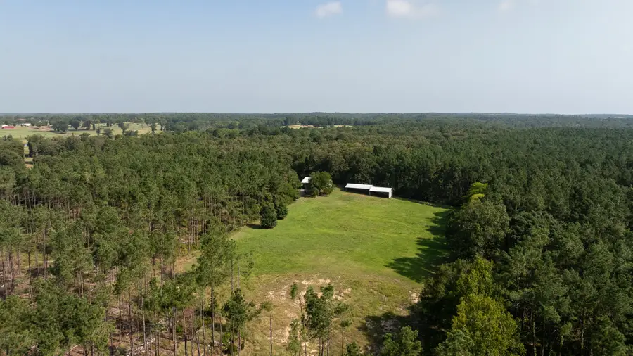 TBD Cr 461, Laneville, TX 75667 - #2
