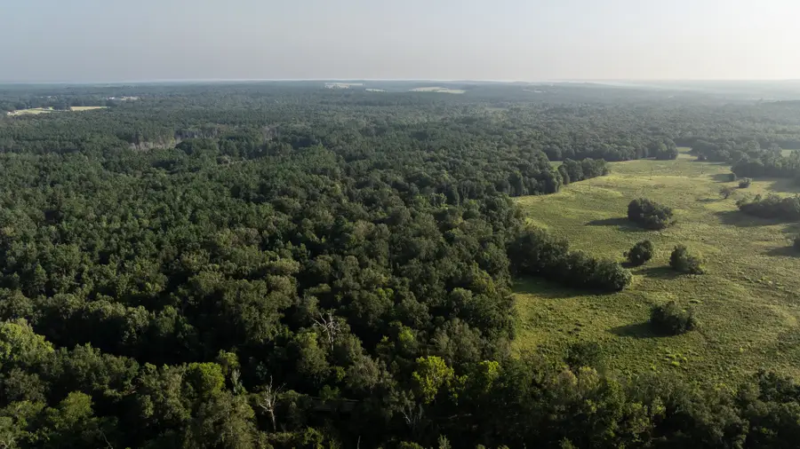 TBD Cr 461, Laneville, TX 75667 - #3