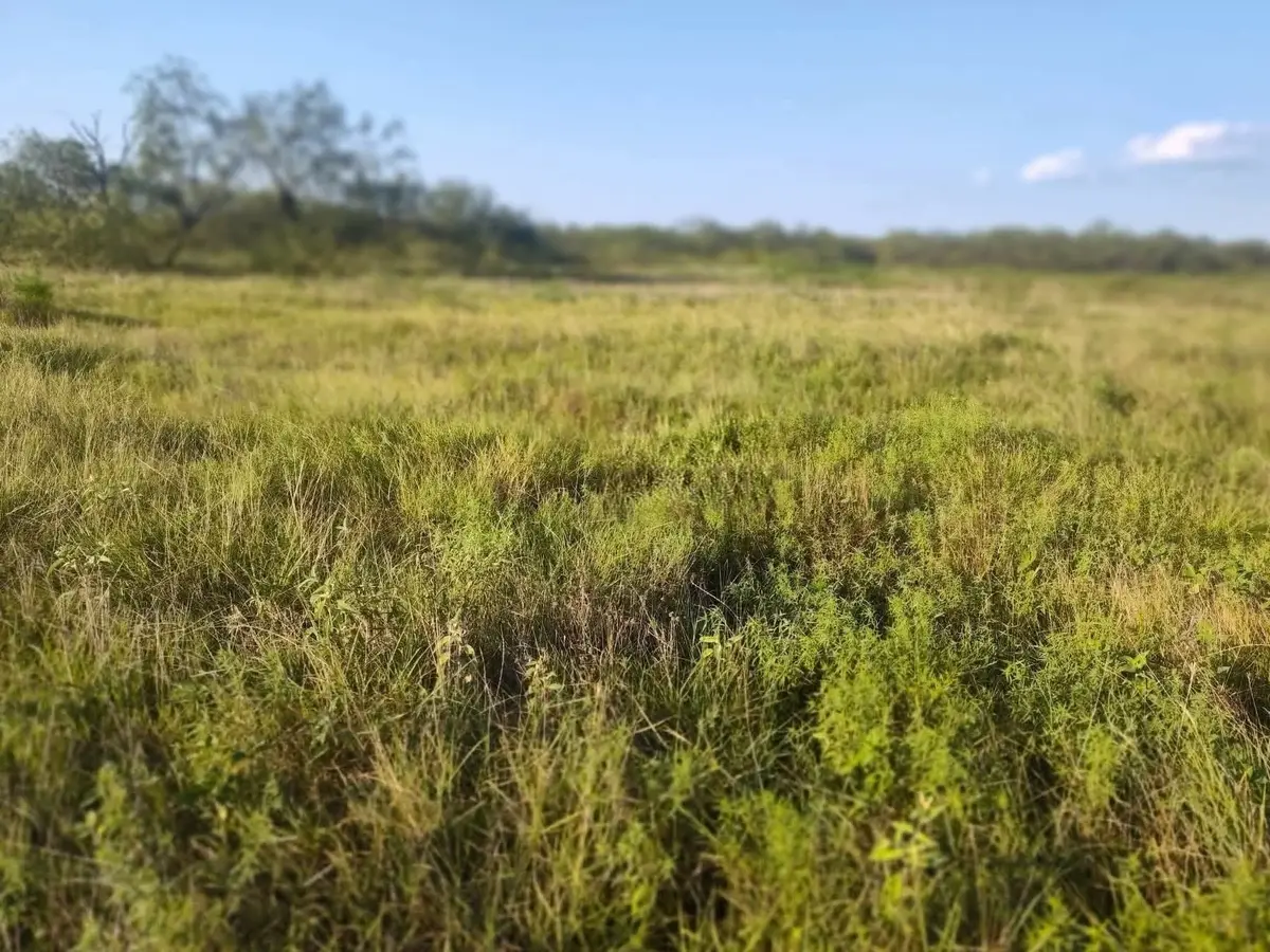 49 Boren Private Rd, Wortham, TX 76693 - #1