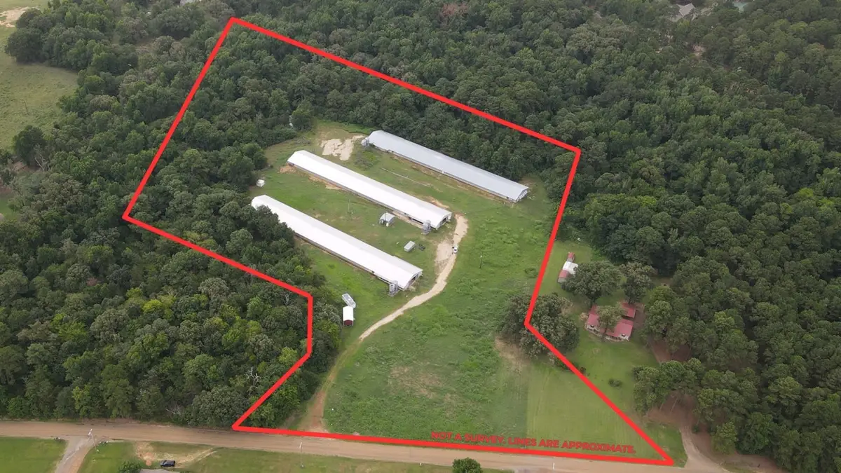 TBD County Road 4114, Pittsburg, TX 75686 - #1