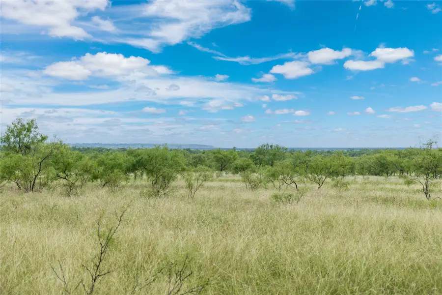 6000 Lot 1 Fm 586 S, Bangs, TX 76823 - #3