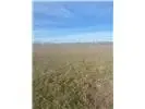5000 Cr 5000, Lorena, TX 76655 - #3