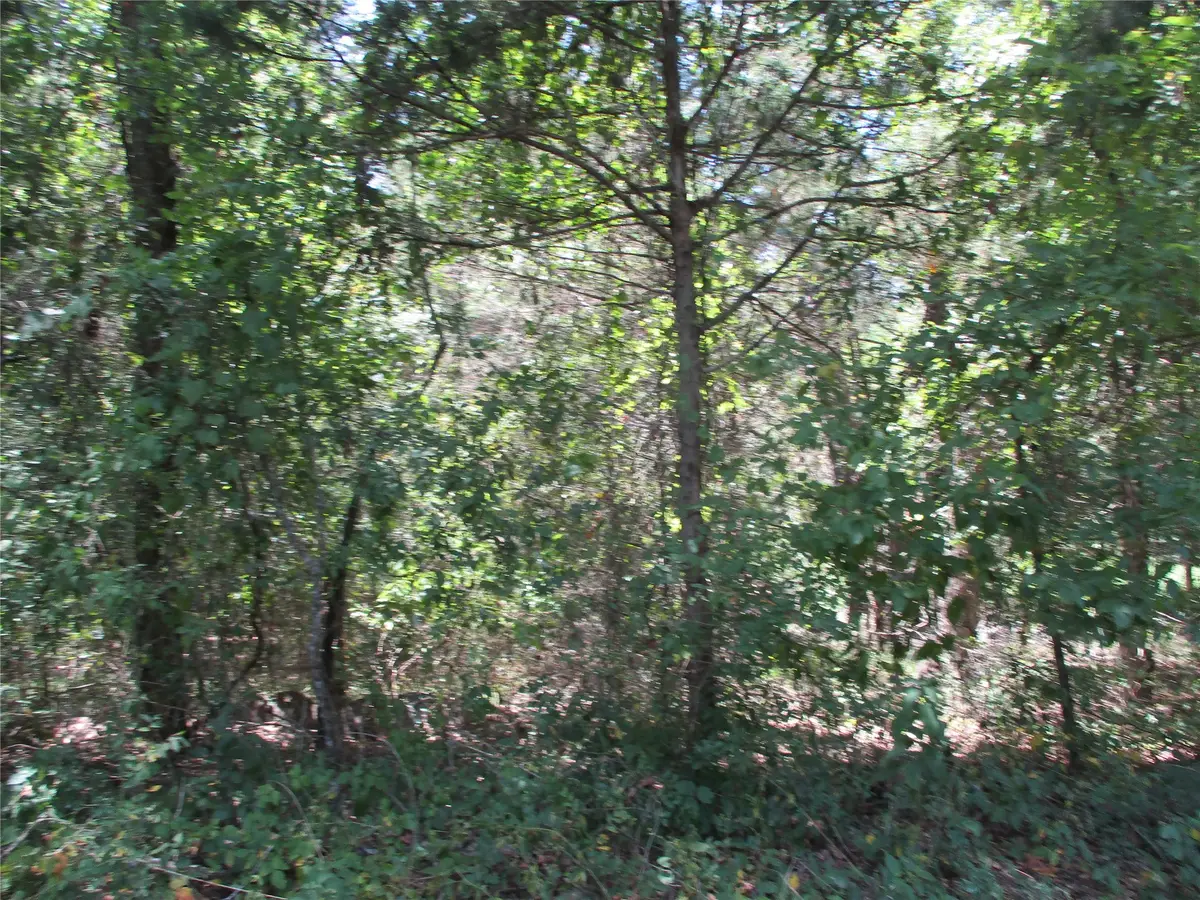 517 Rains County Road 1275, Emory, TX 75440 - #1