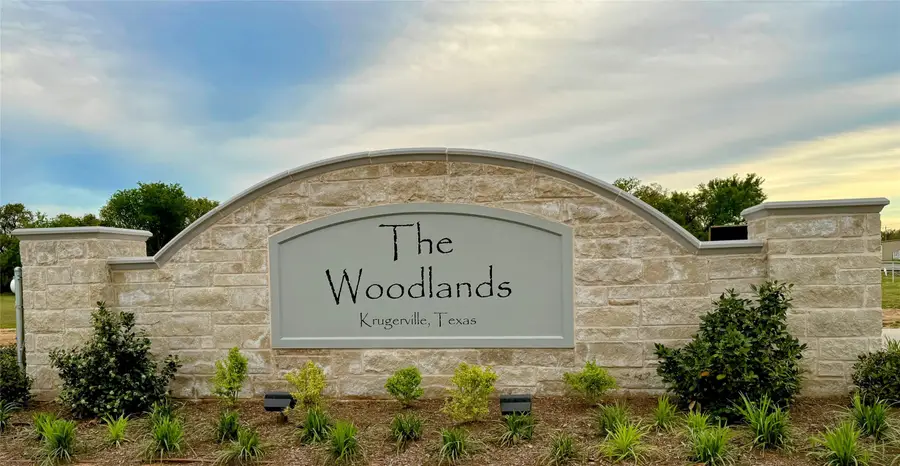 108 Wild Plum Drive, Krugerville, TX 76227 - #3