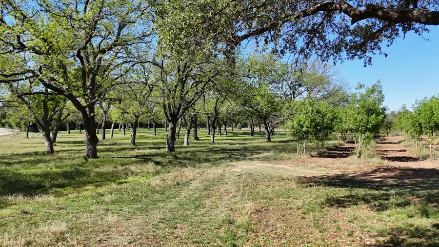 401 County Road 326, Comanche, TX 76442 - #3