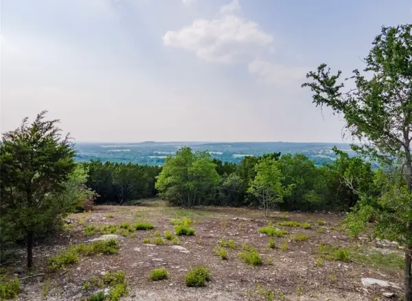 425 Bluff View Court, Bluff Dale, TX 76433