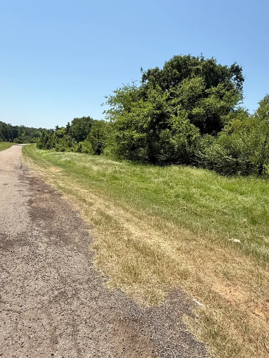 TBD Fm 2152, Mount Pleasant, TX 75455 - #3