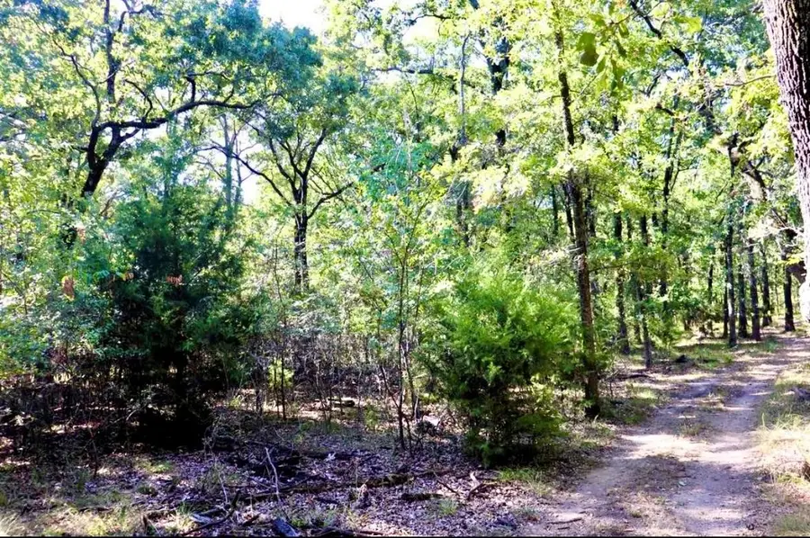 800 Trosper Trace, Quinlan, TX 75474 - #3