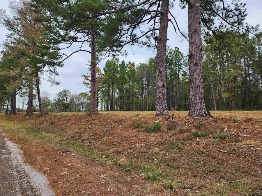 14498 Cr-363, Winona, TX 75792 - #3