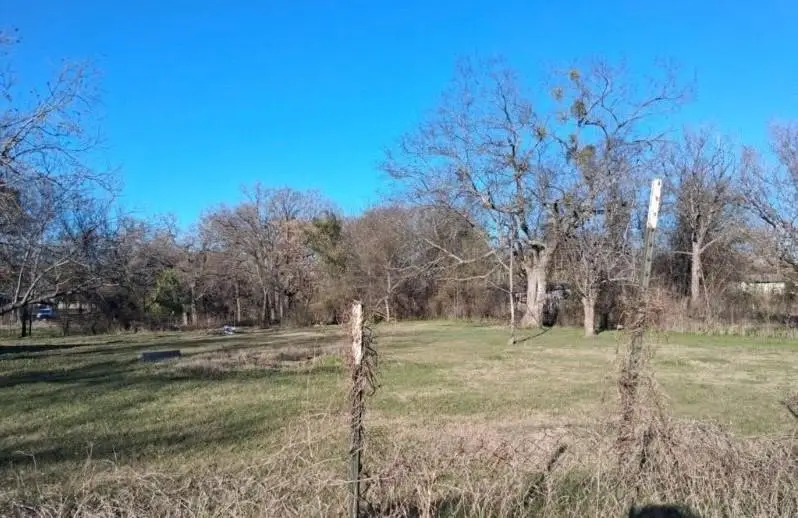 8163 Lady Bird, Kemp, TX 75143 - #2