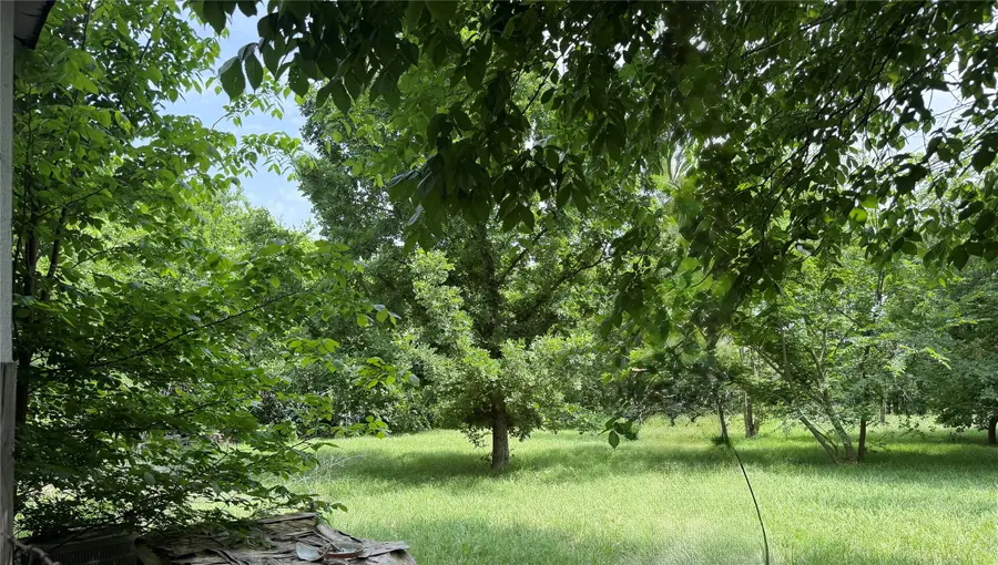 902 Quail Run, Cleburne, TX 76031 - #2