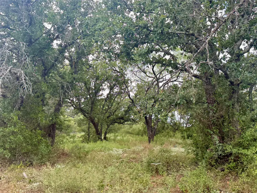 405 County Road 102, Santa Anna, TX 76878 - #3