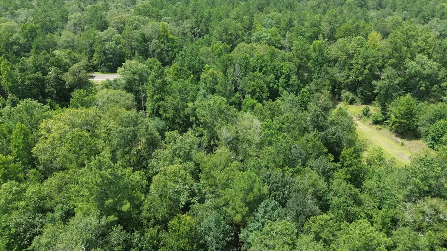 190 Private Road 8027, Newton, TX 75966 - #3