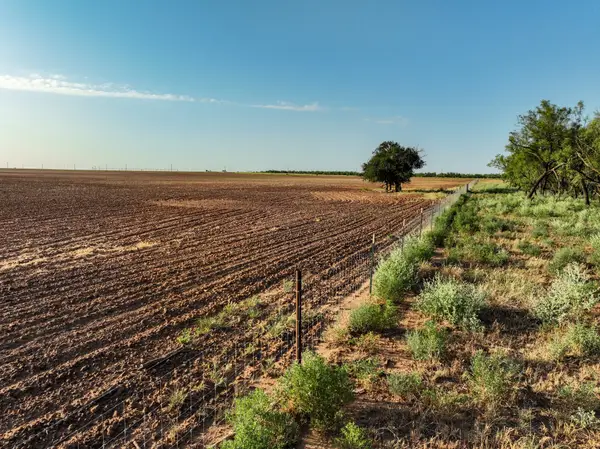 80 4220 County Road, Knox City, TX 79529