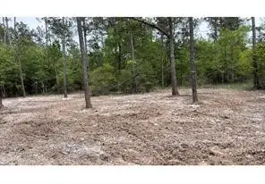 000 Langham Road, Kountze, TX 77625 - #2